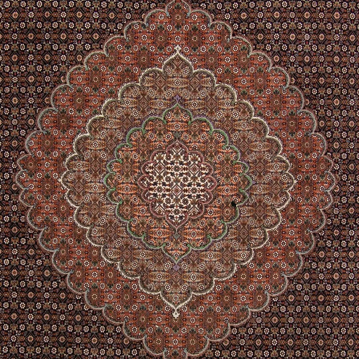 Perser Rug - Tabriz - 370 x 256 cm - brown