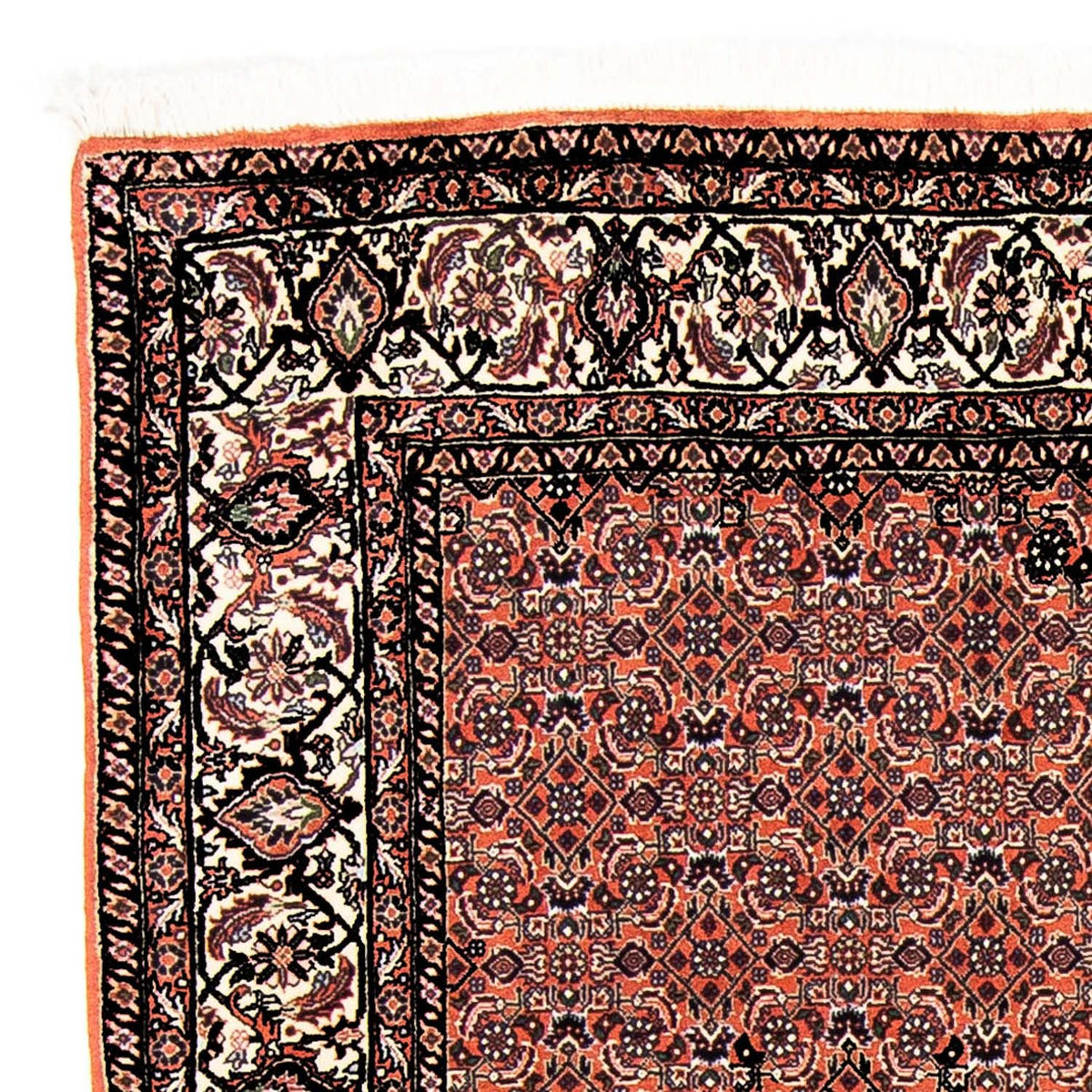 Perser Rug - Bidjar - 250 x 173 cm - light red