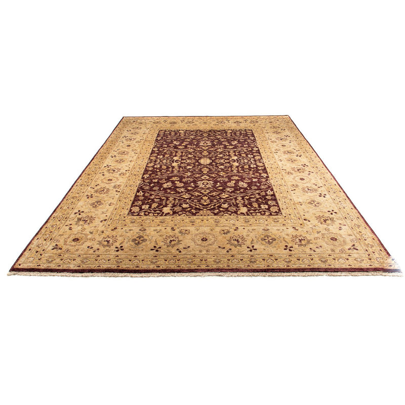 Ziegler Rug - 362 x 276 cm - brown