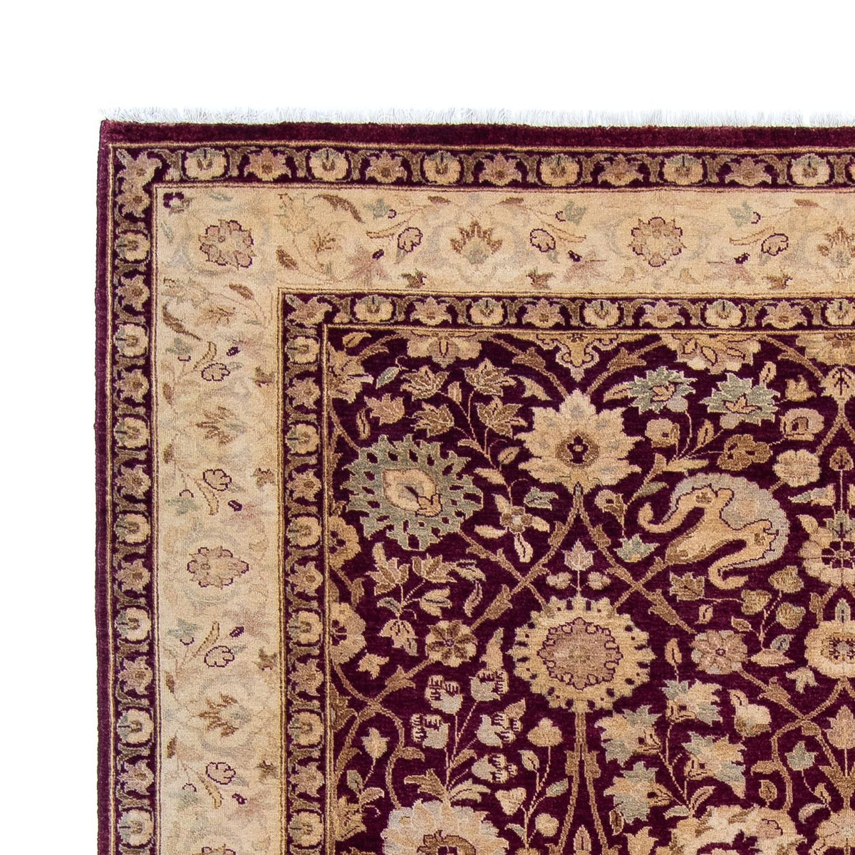 Ziegler Rug 228x281cm - Oriental Rug
