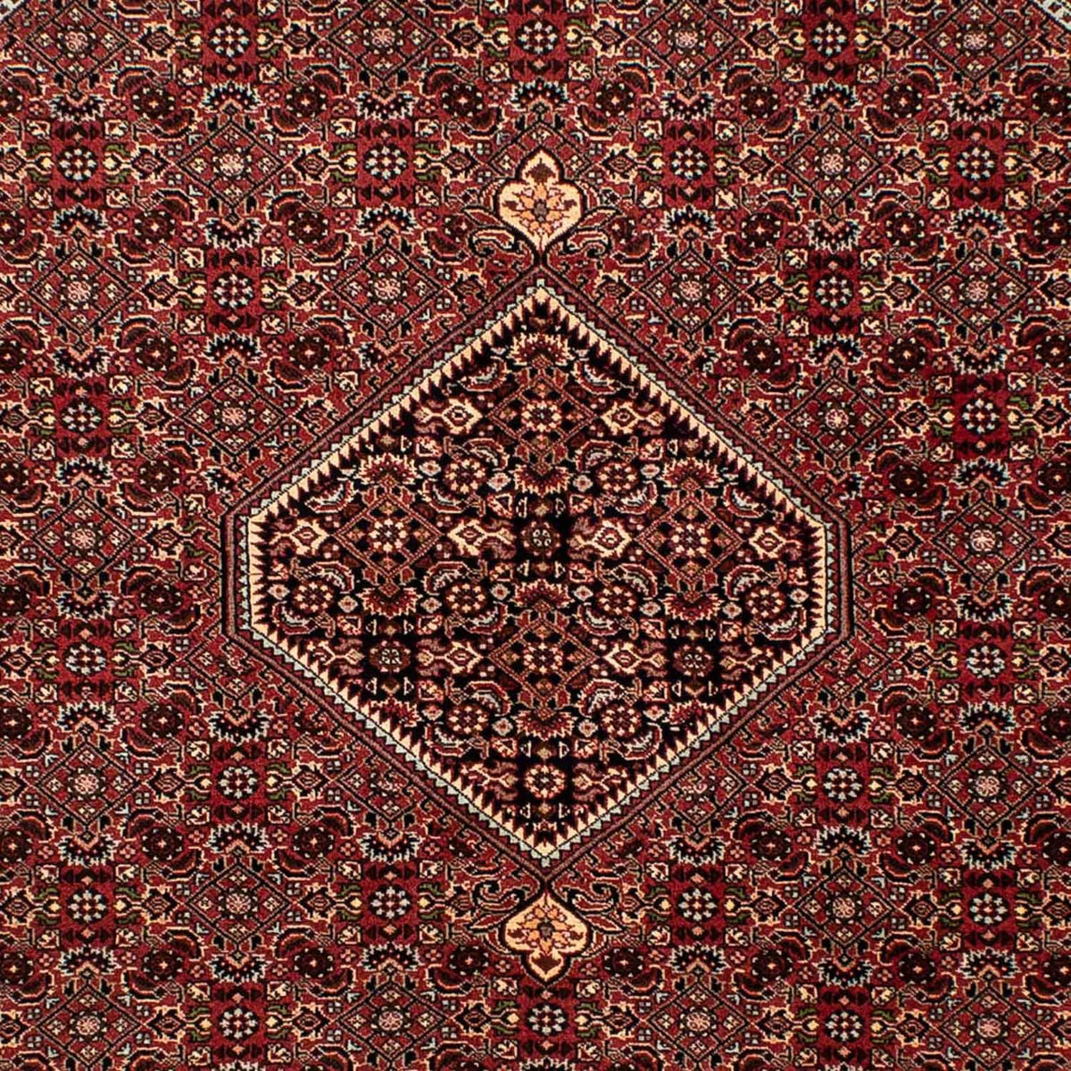 Perser Rug - Bidjar - 242 x 170 cm - brown