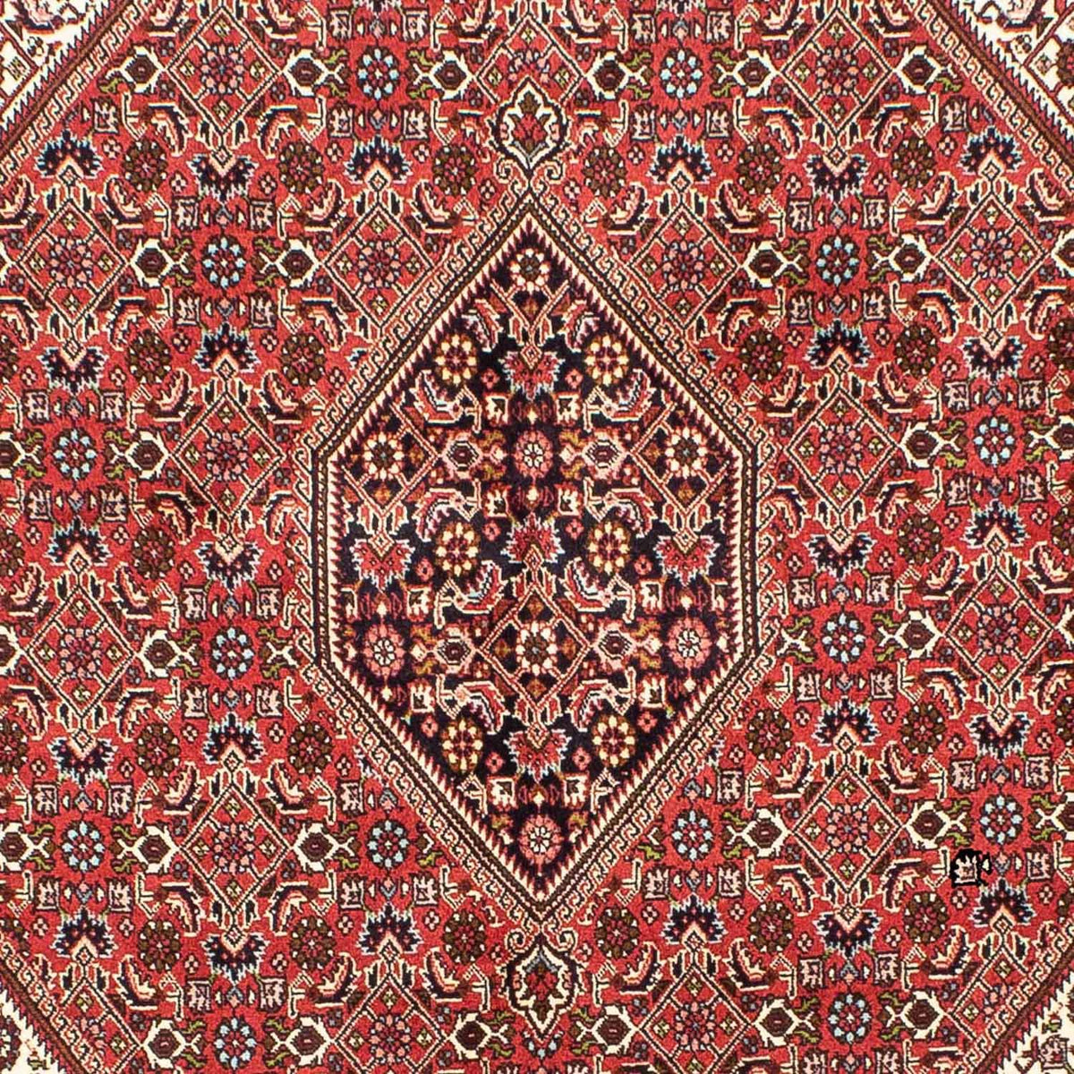 Perser Rug - Bidjar - 245 x 172 cm - light red
