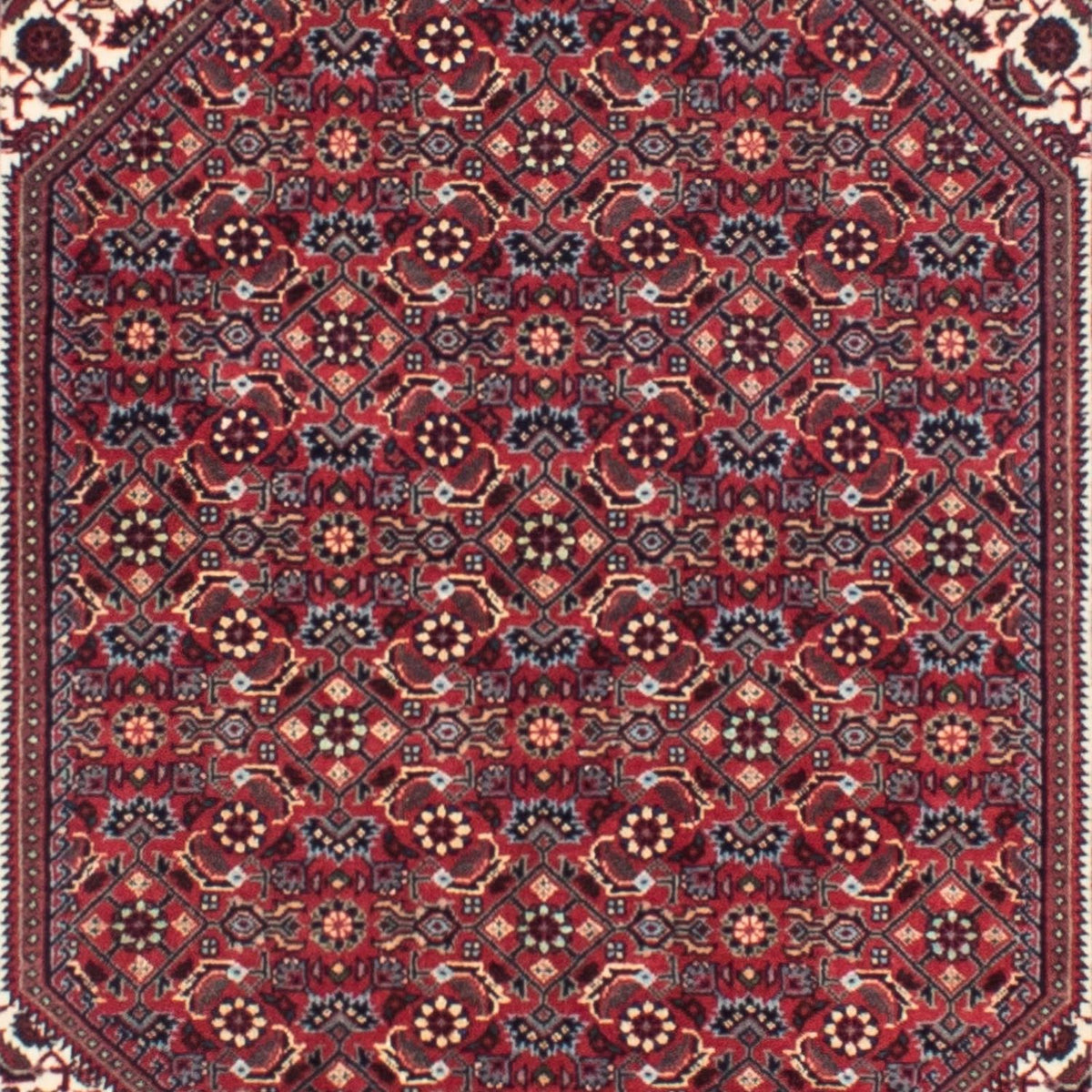 Runner Perser Rug - Bidjar - 313 x 83 cm - dark red