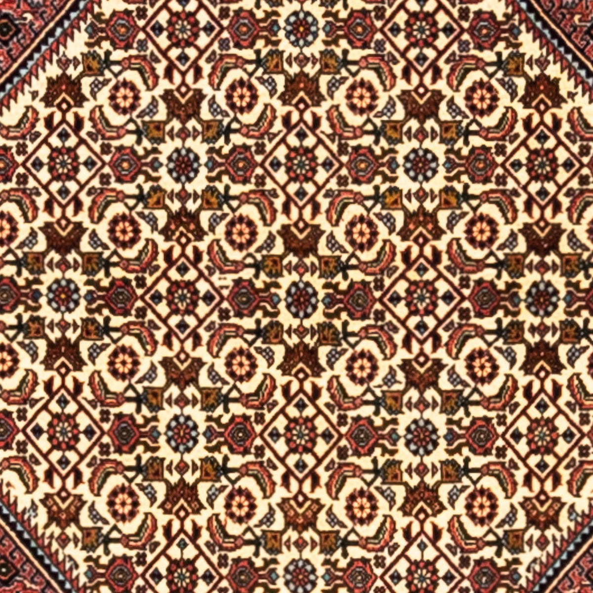 Perser Rug - Bidjar - 291 x 200 cm - red