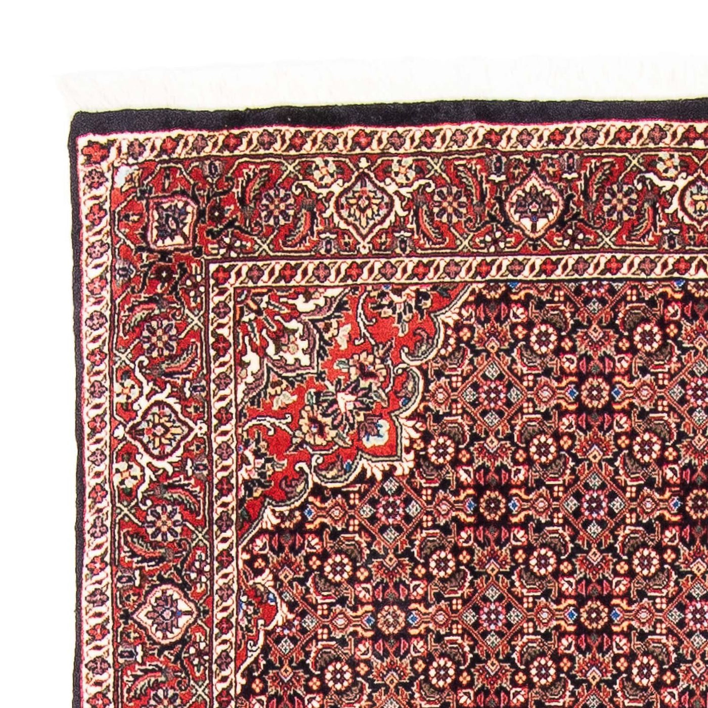 Bidjar Rug 170x109cm - Persian Rugs