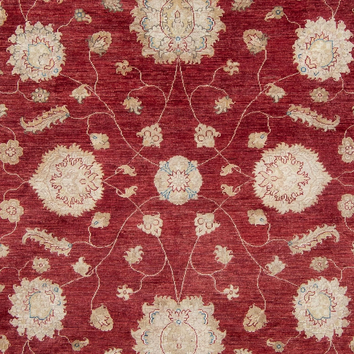 Ziegler Rug - 300 x 238 cm - red