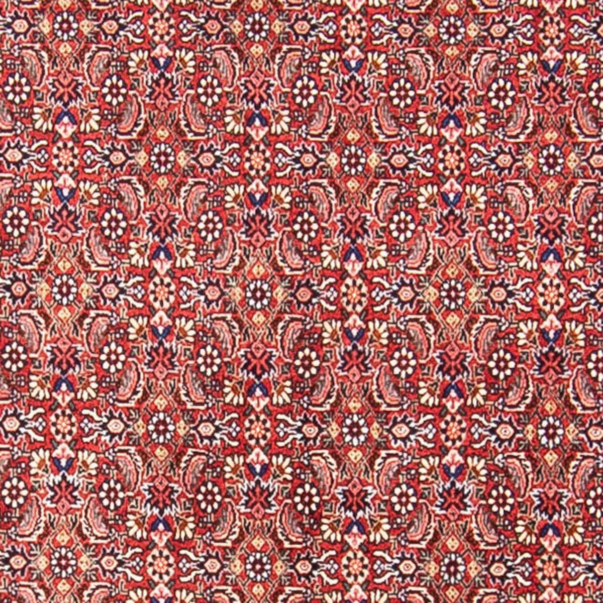 Perser Rug - Bidjar - 307 x 248 cm - light red