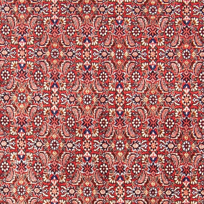 Perser Rug - Bidjar - 307 x 248 cm - light red