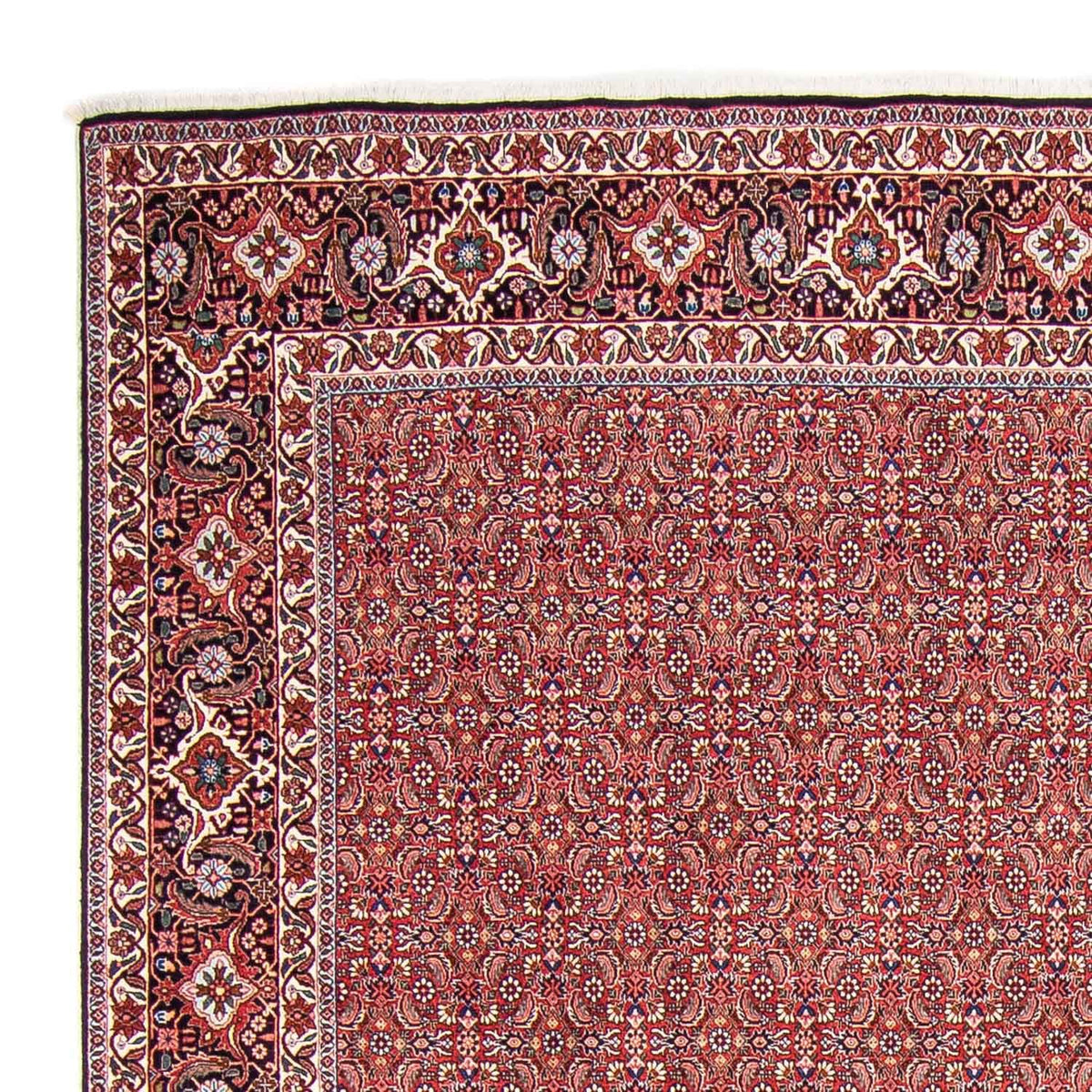 Perser Rug - Bidjar - 307 x 248 cm - light red