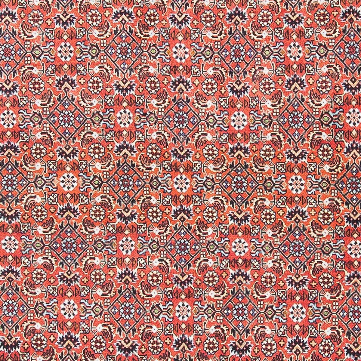 Perser Rug - Bidjar - 137 x 96 cm - dark red