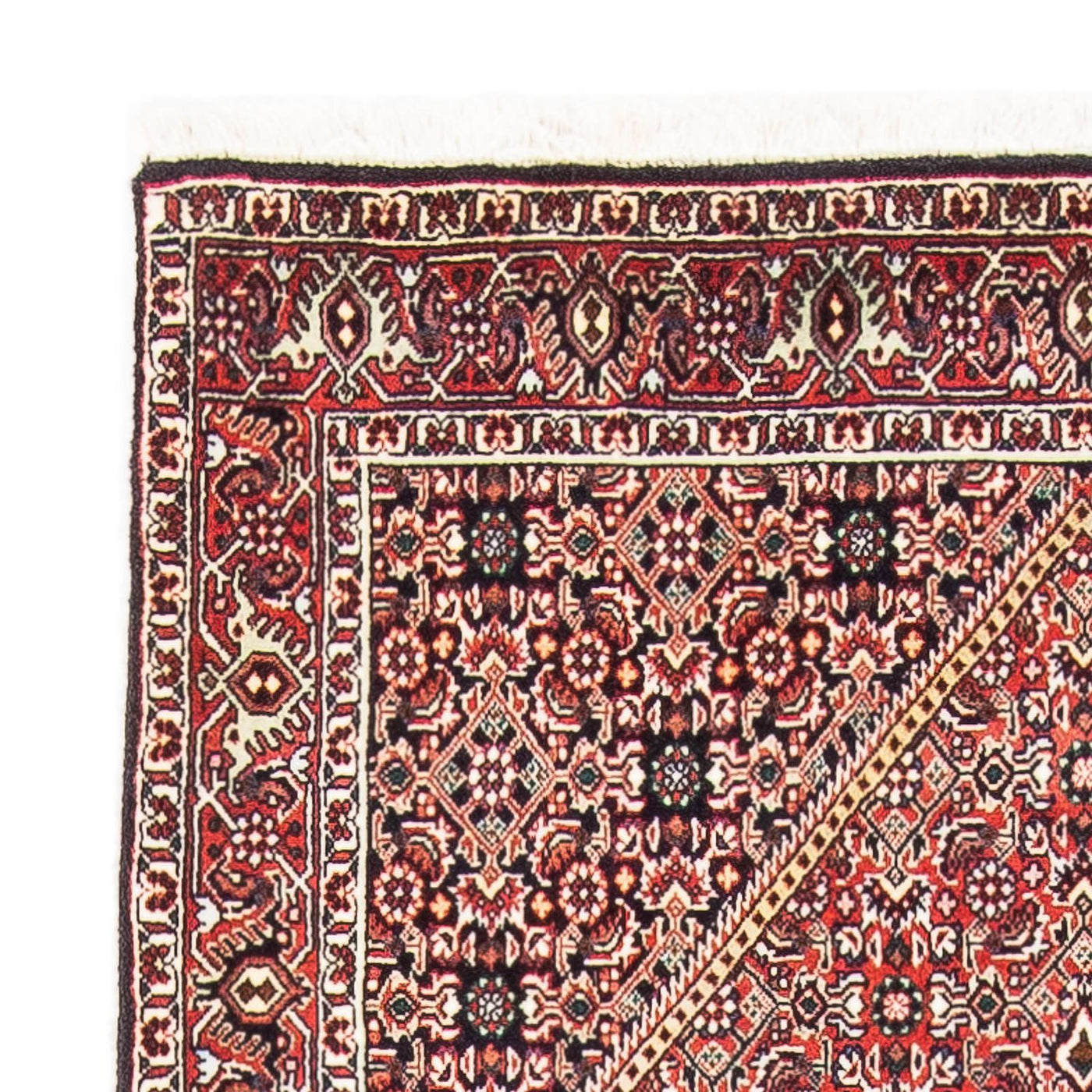 Bidjar Rug 145x88cm - Persian Rugs