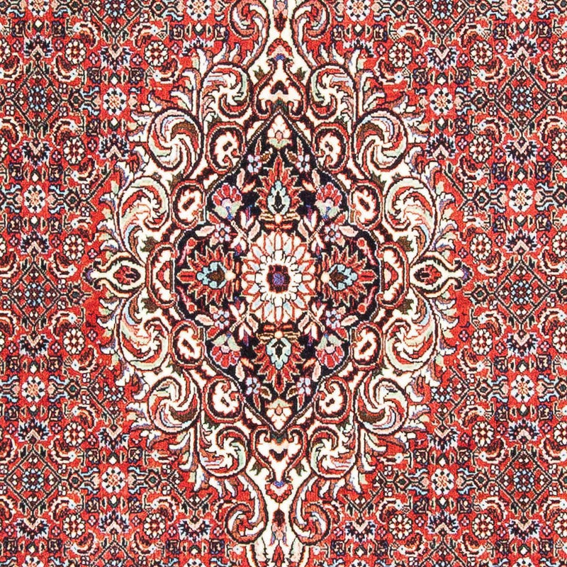 Bidjar Rug 169x112cm - Persian Rugs