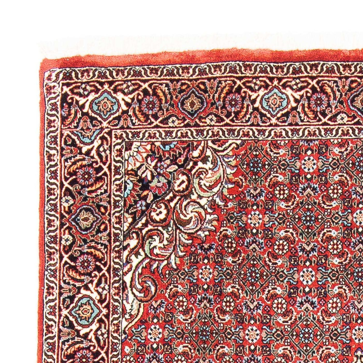 Bidjar Rug 169x112cm - Persian Rugs
