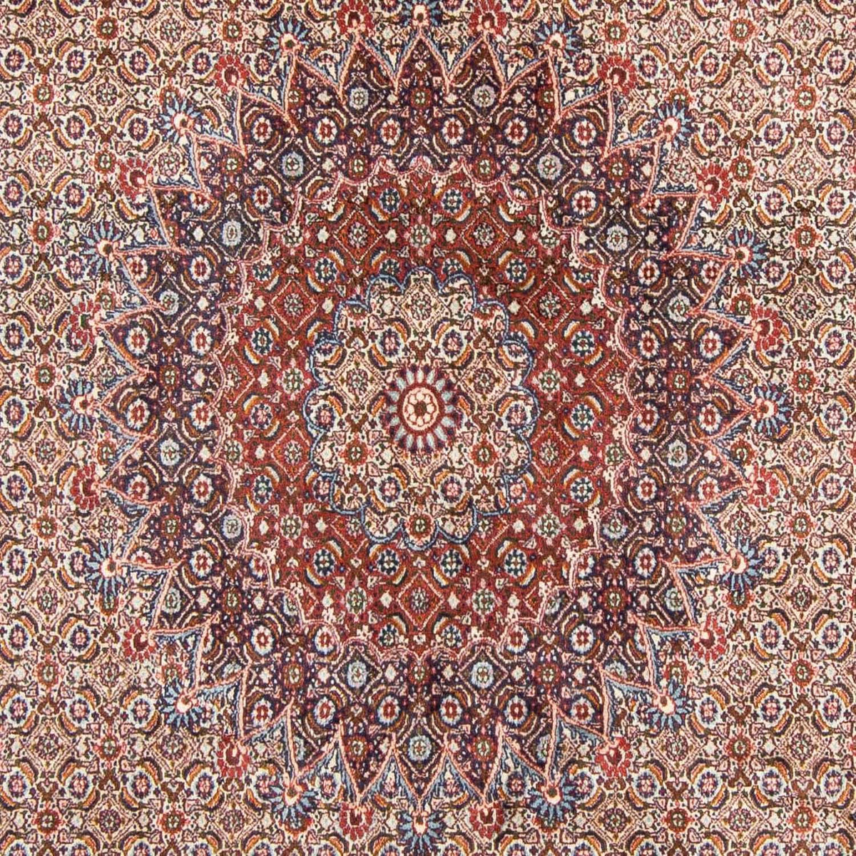 Perser Rug - Classic - 300 x 199 cm - light red