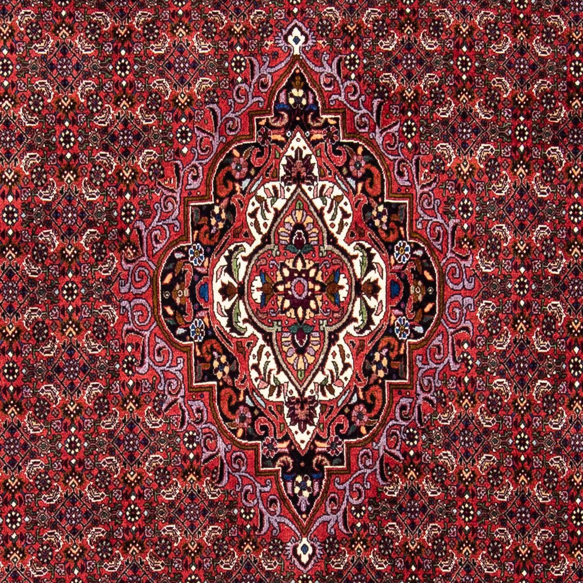 Perser Rug - Bidjar - 241 x 172 cm - dark red