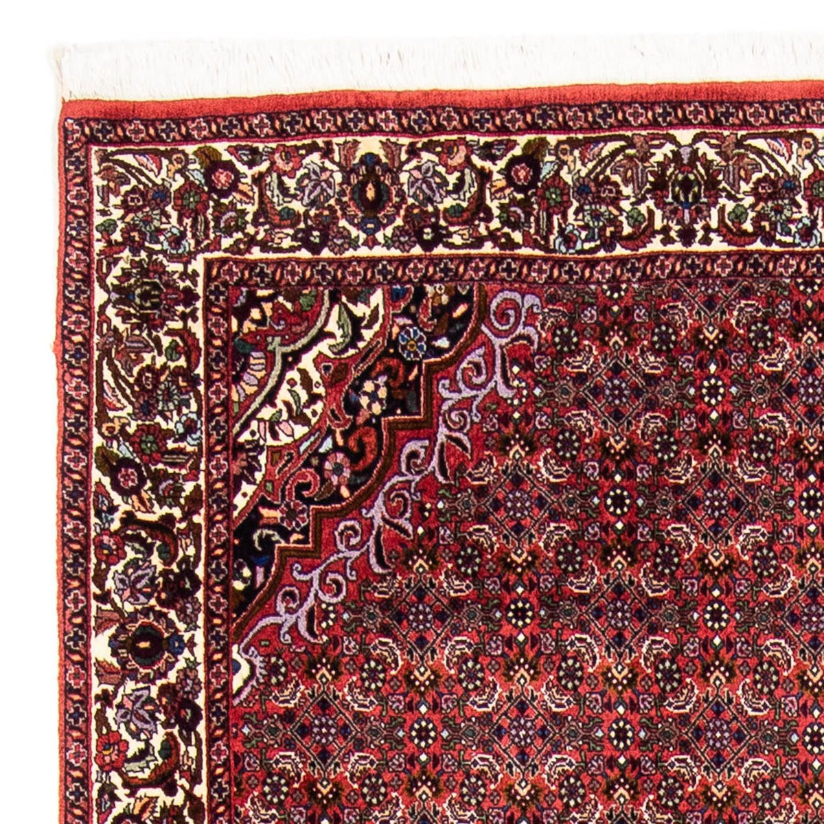 Perser Rug - Bidjar - 241 x 172 cm - dark red