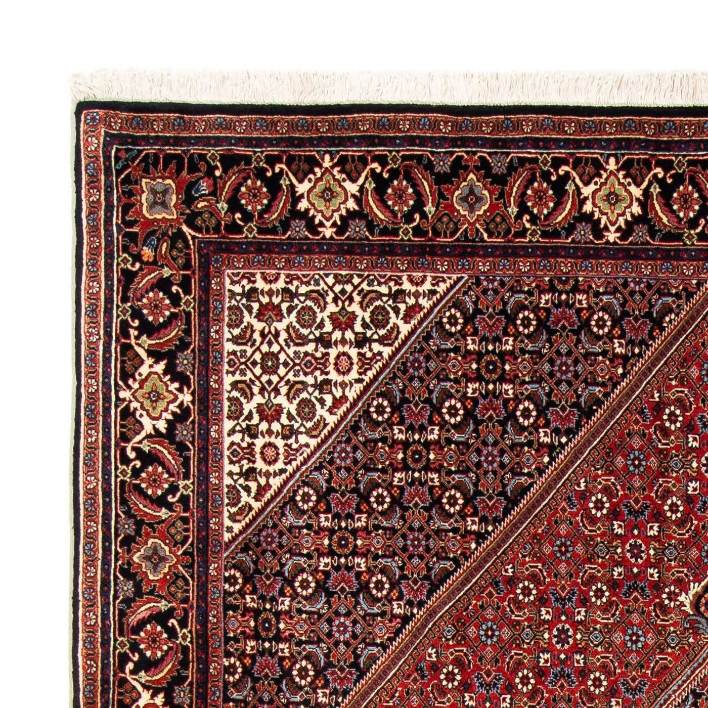 Bidjar Rug 246x170cm - Persian Rugs