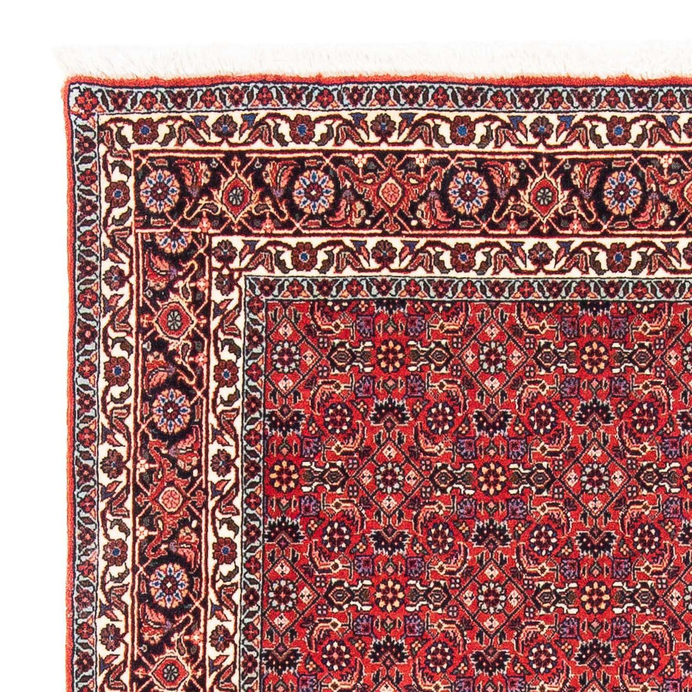 Bidjar Rug 126x124cm - Persian Rugs