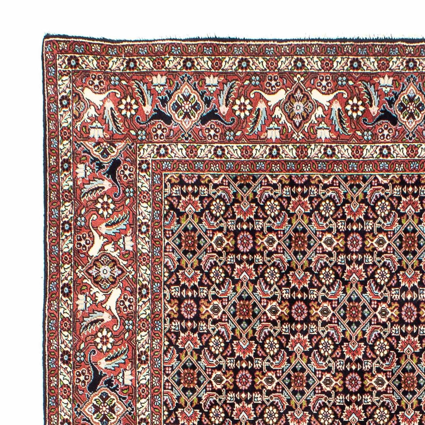 Bidjar Rug 248x173cm - Persian Rugs