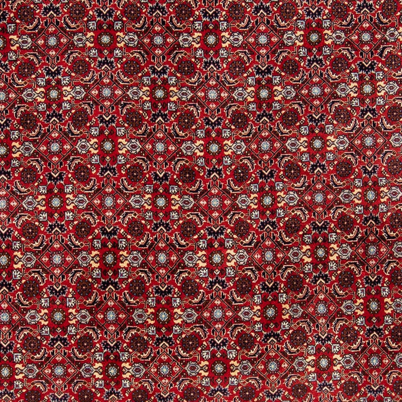 Perser Rug - Bidjar - 251 x 175 cm - red