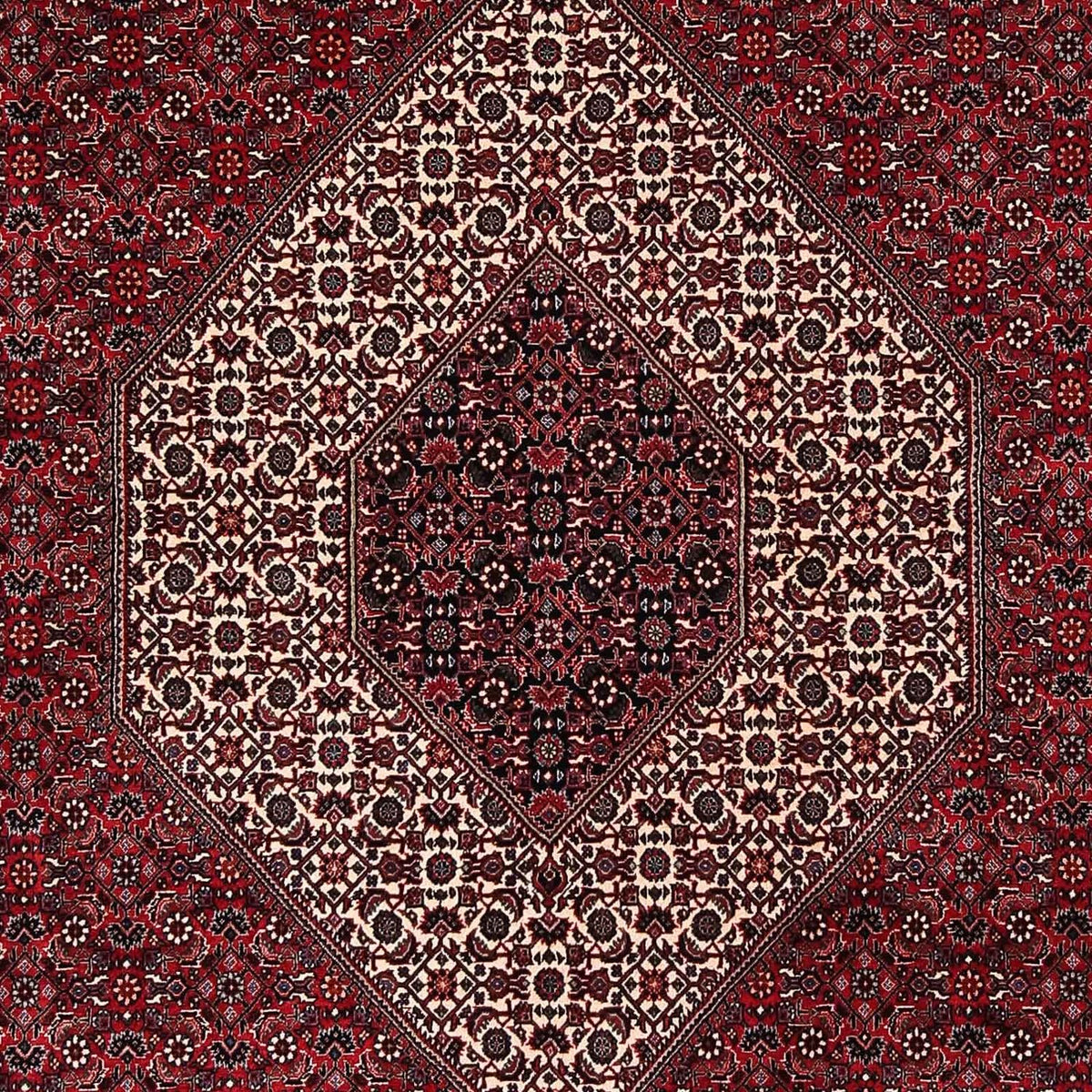 Perser Rug - Bidjar - 252 x 203 cm - dark red