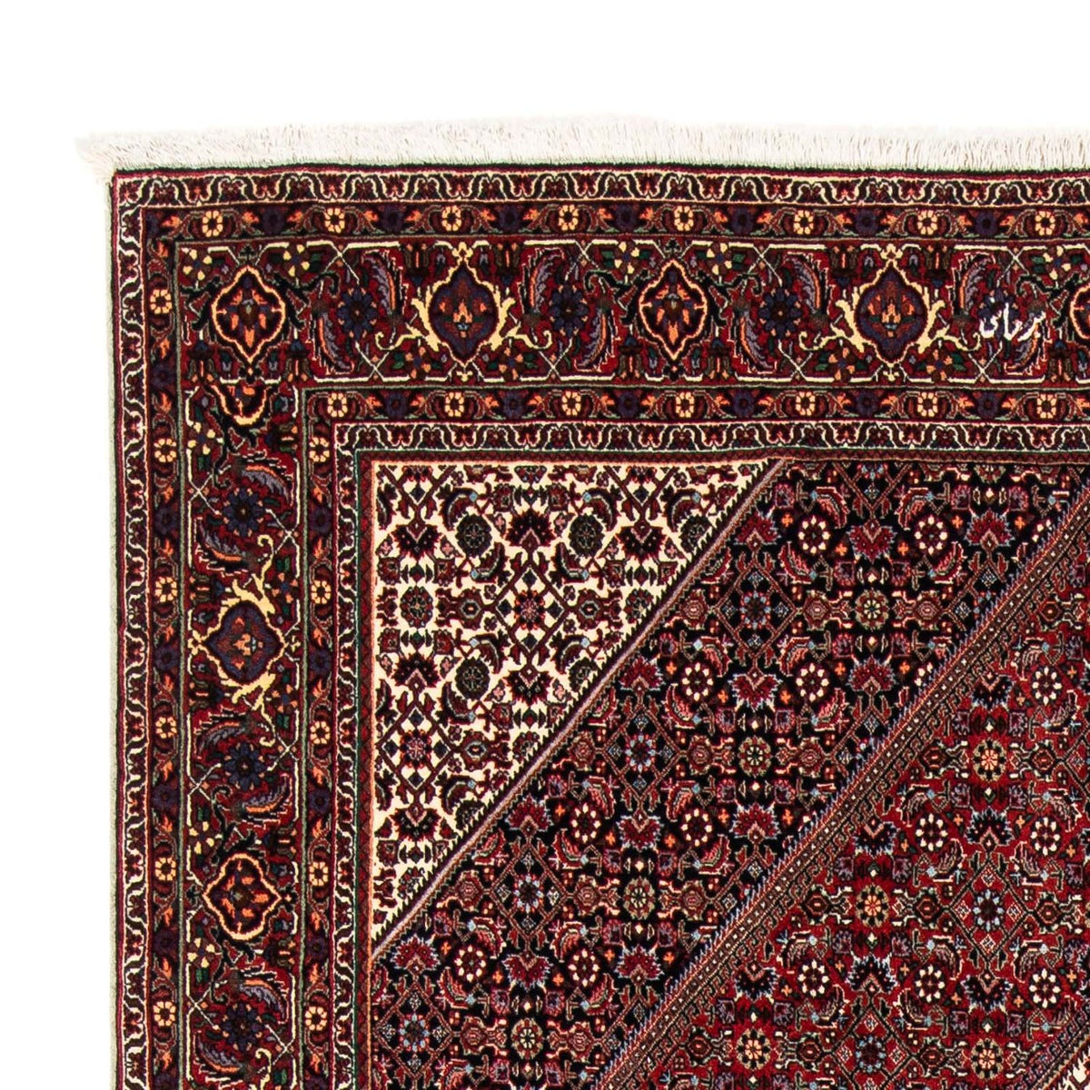 Bidjar Rug 169x235cm - Persian Rugs