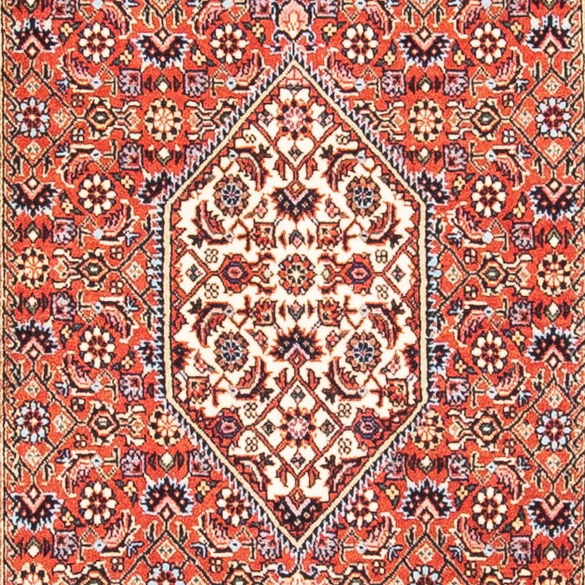 Perser Rug - Bidjar - 150 x 84 cm - red