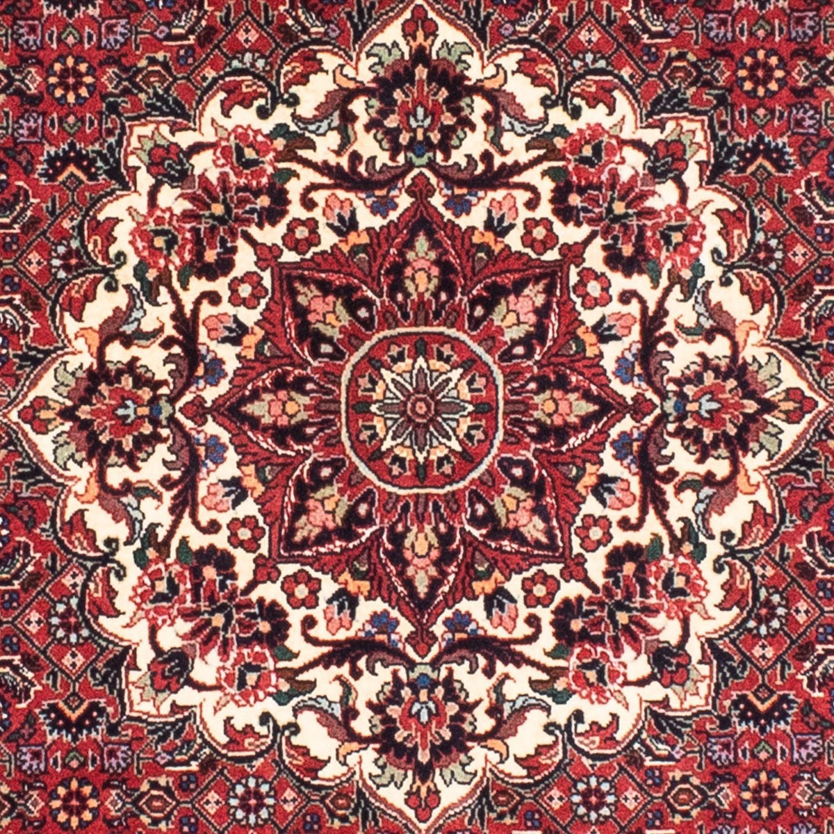 Perser Rug - Bidjar round  - 155 x 155 cm - dark red