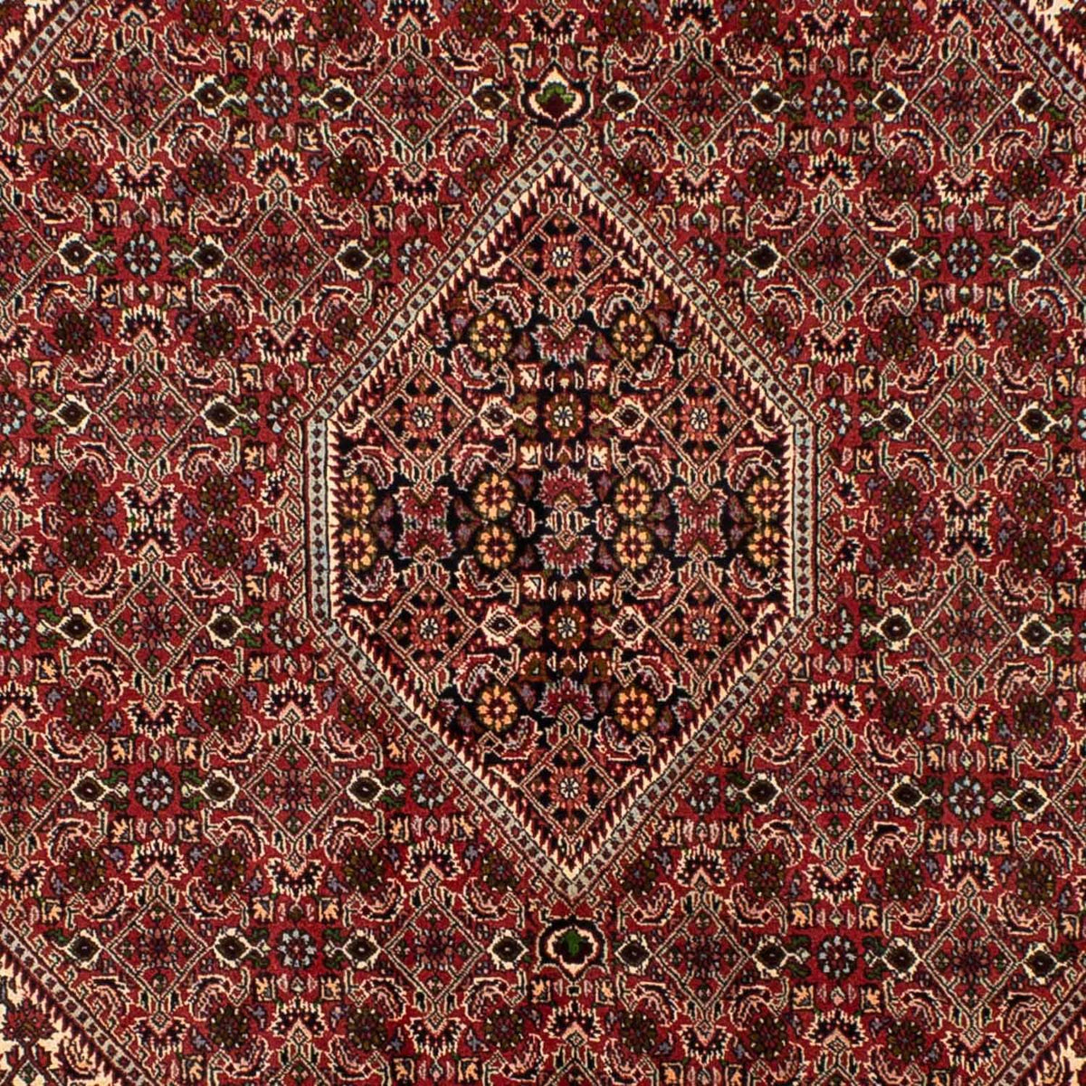 Perser Rug - Bidjar - 251 x 173 cm - dark red