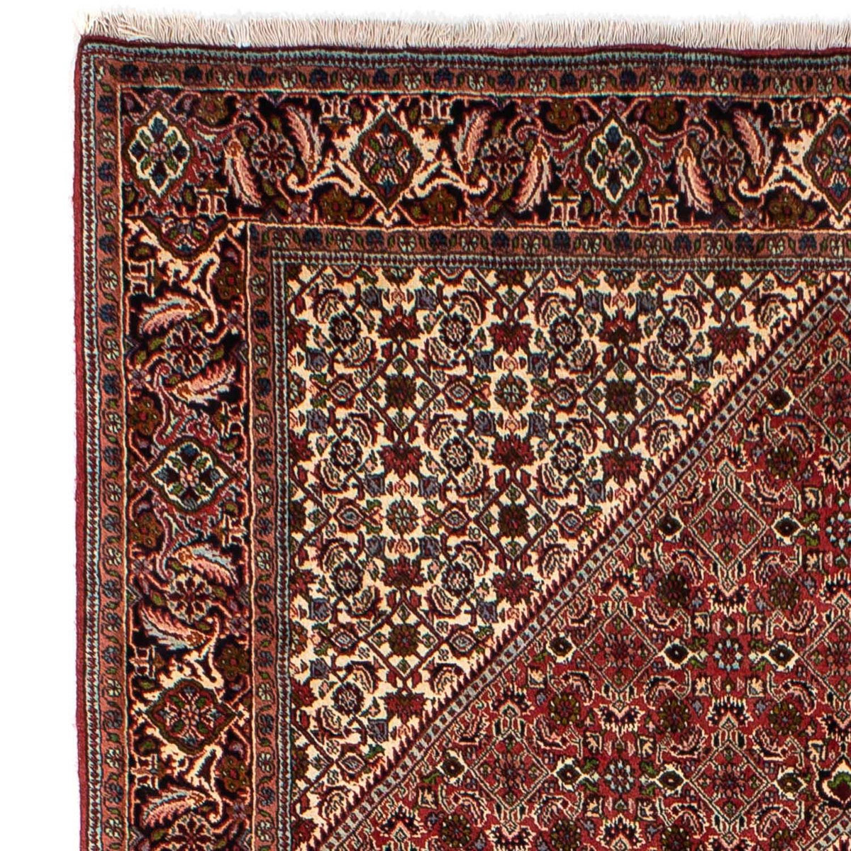 Bidjar Rug 173x251cm - Persian Rugs