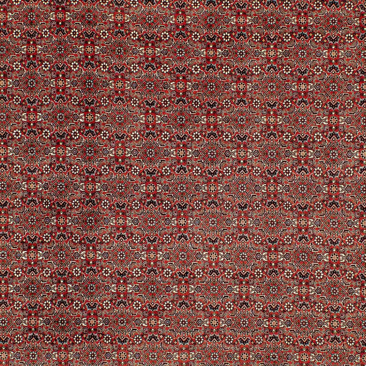 Perser Rug - Bidjar - 300 x 206 cm - light red