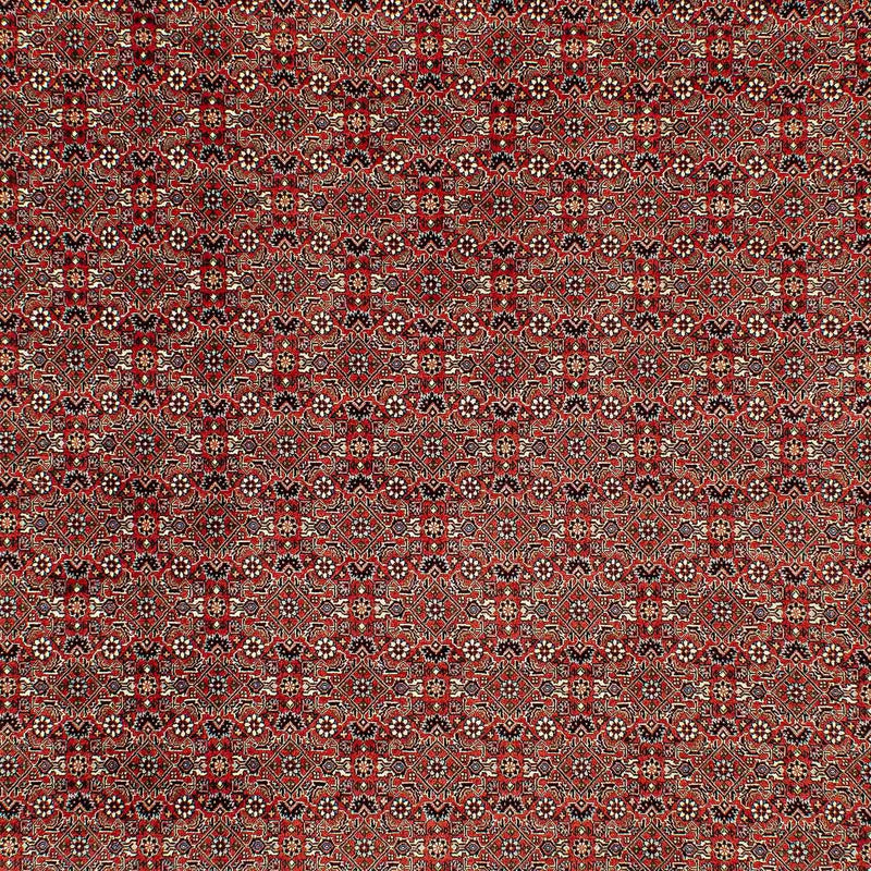 Perser Rug - Bidjar - 300 x 206 cm - light red