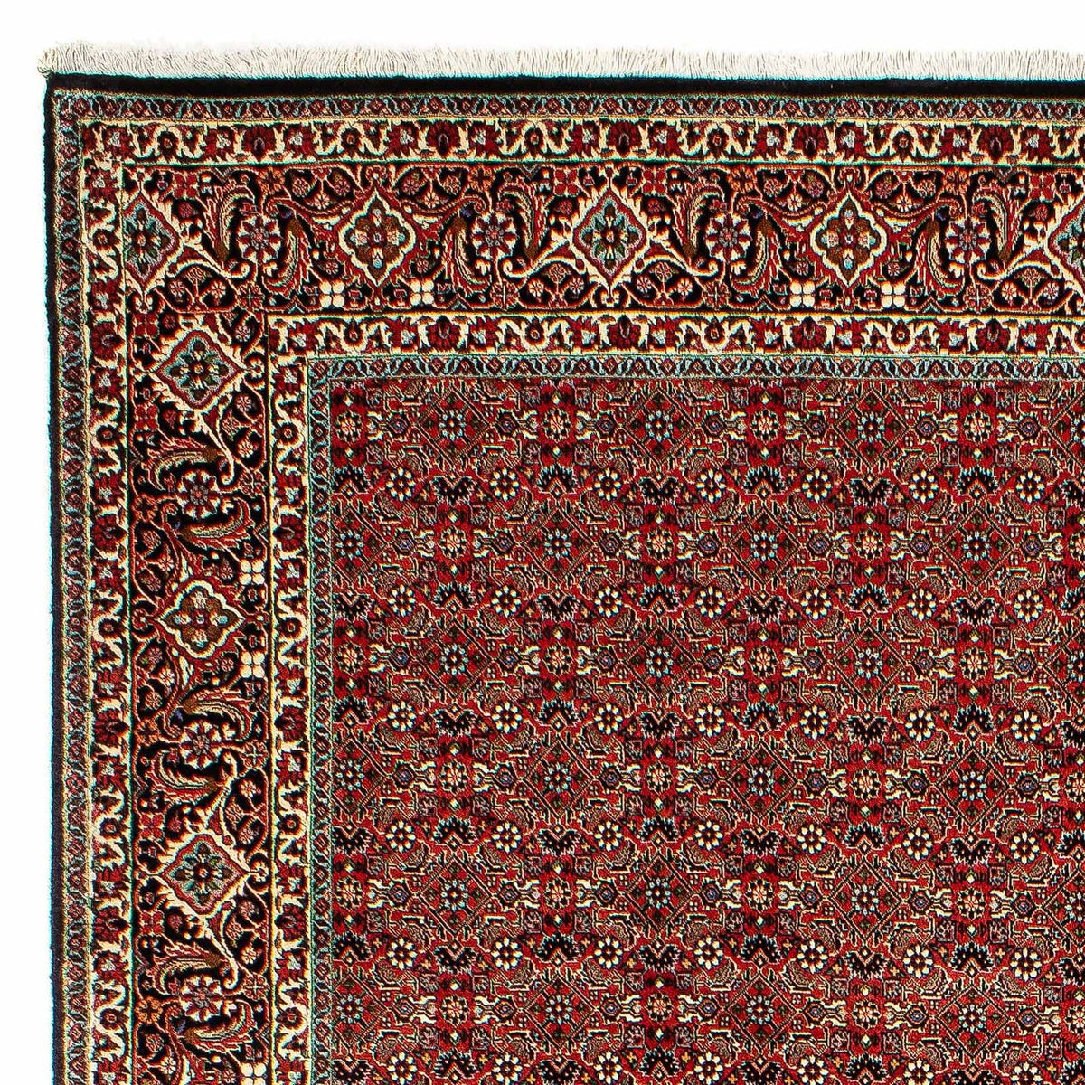 Bidjar Rug 206x300cm - Persian Rugs