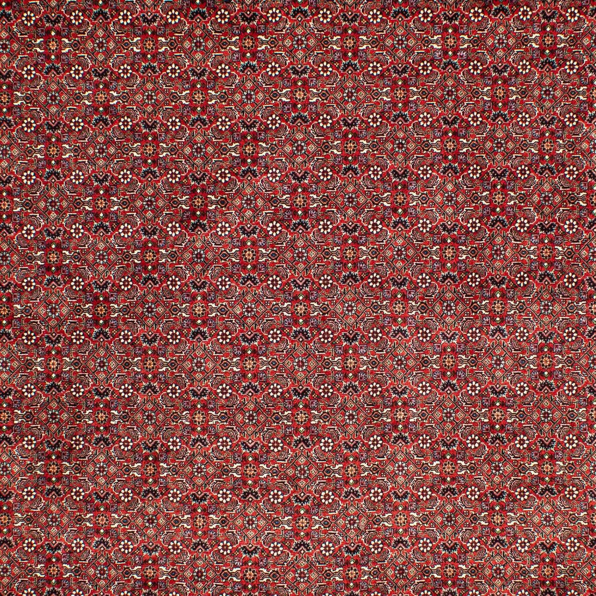 Perser Rug - Bidjar - 302 x 210 cm - dark red