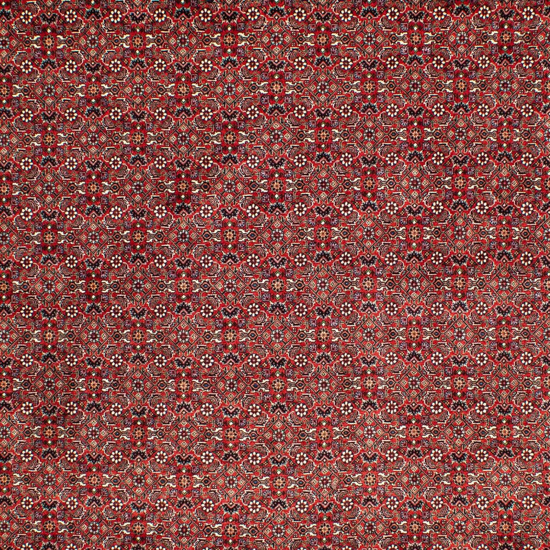 Perser Rug - Bidjar - 302 x 210 cm - dark red
