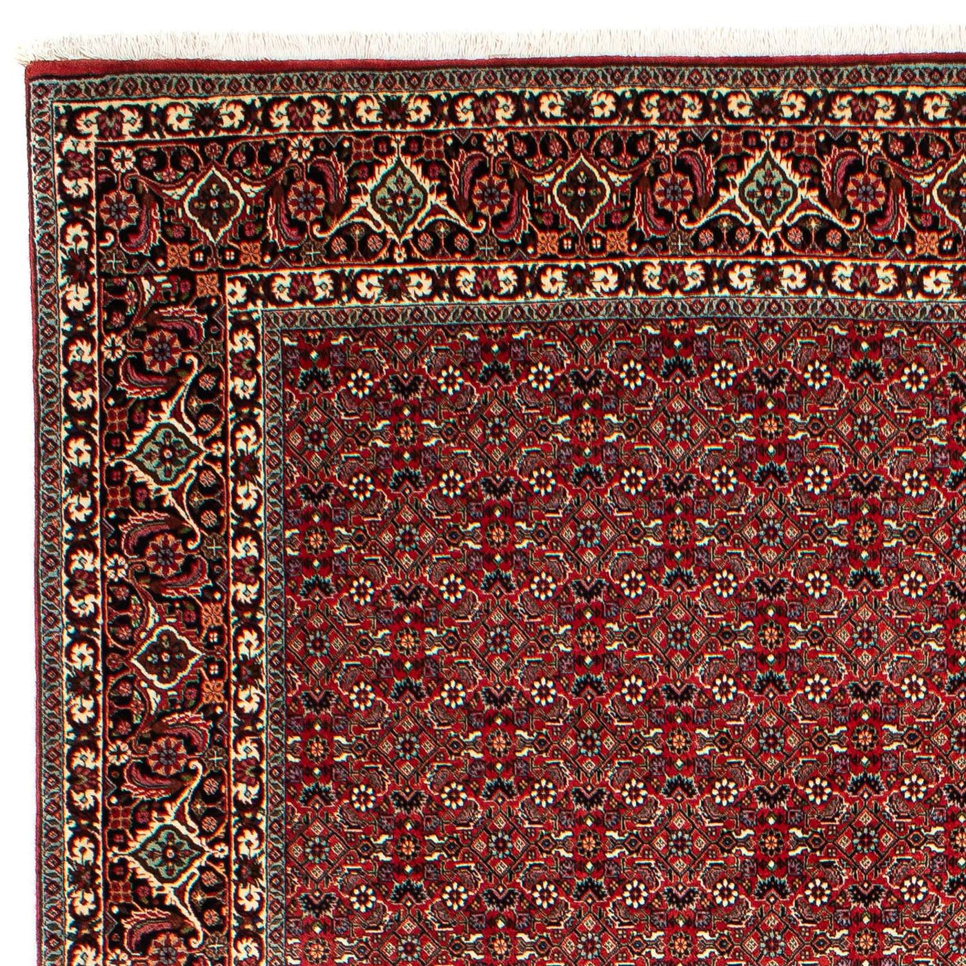 Bidjar Rug 302x210cm - Persian Rugs