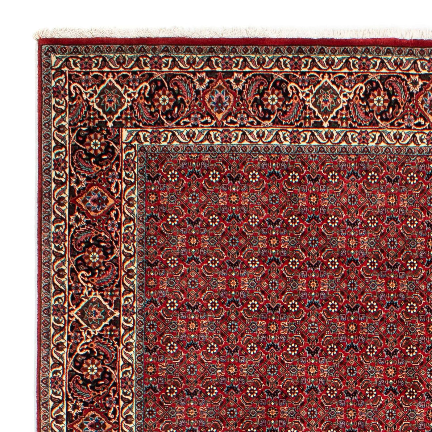 Bidjar Rug 298x205cm - Persian Rugs