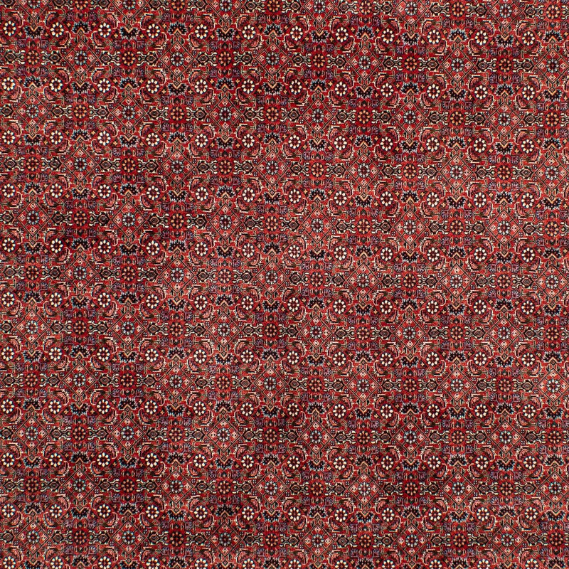 Perser Rug - Bidjar - 299 x 202 cm - dark red