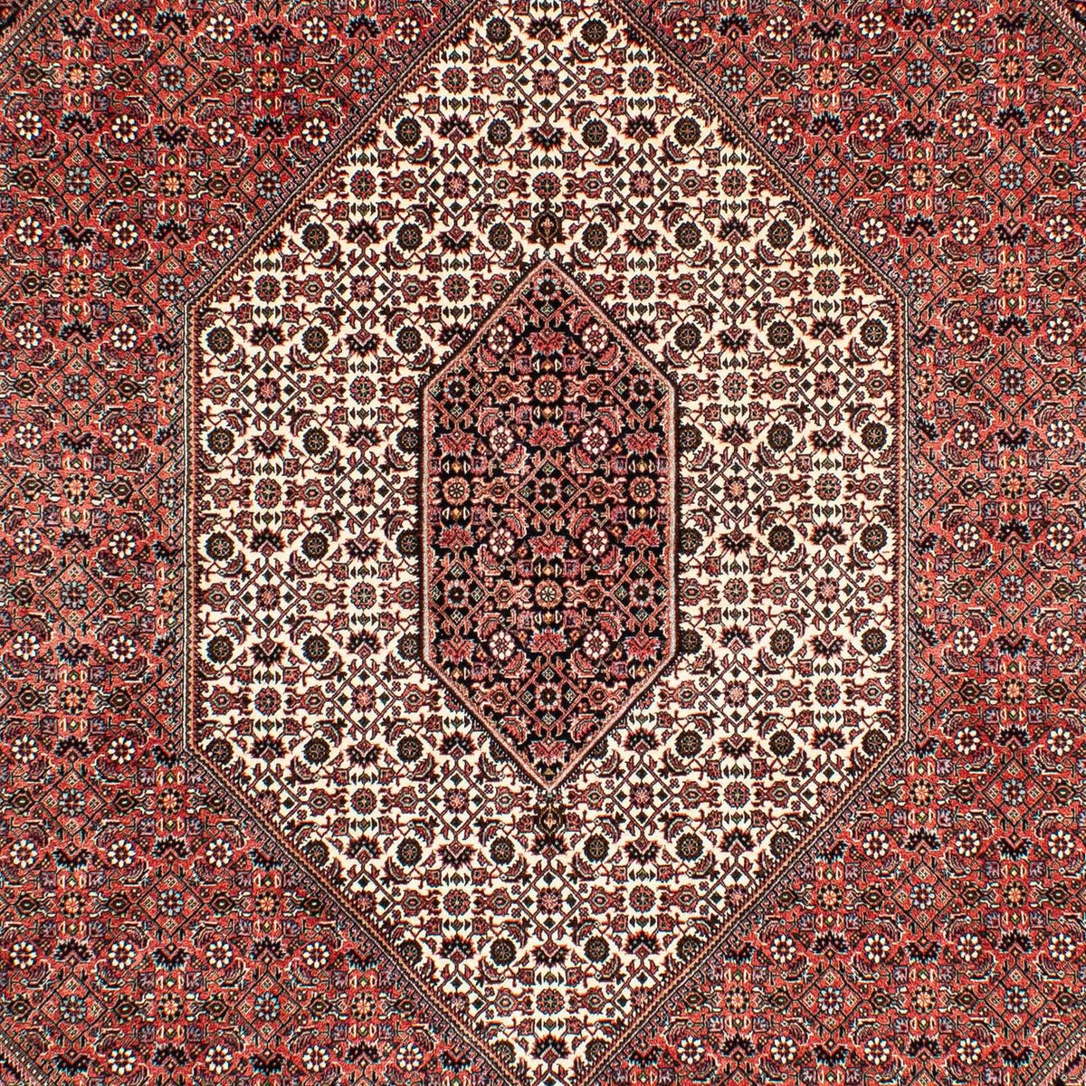 Perser Rug - Bidjar - 293 x 203 cm - light red