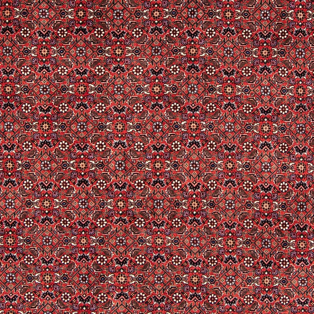 Perser Rug - Bidjar - 243 x 173 cm - dark red