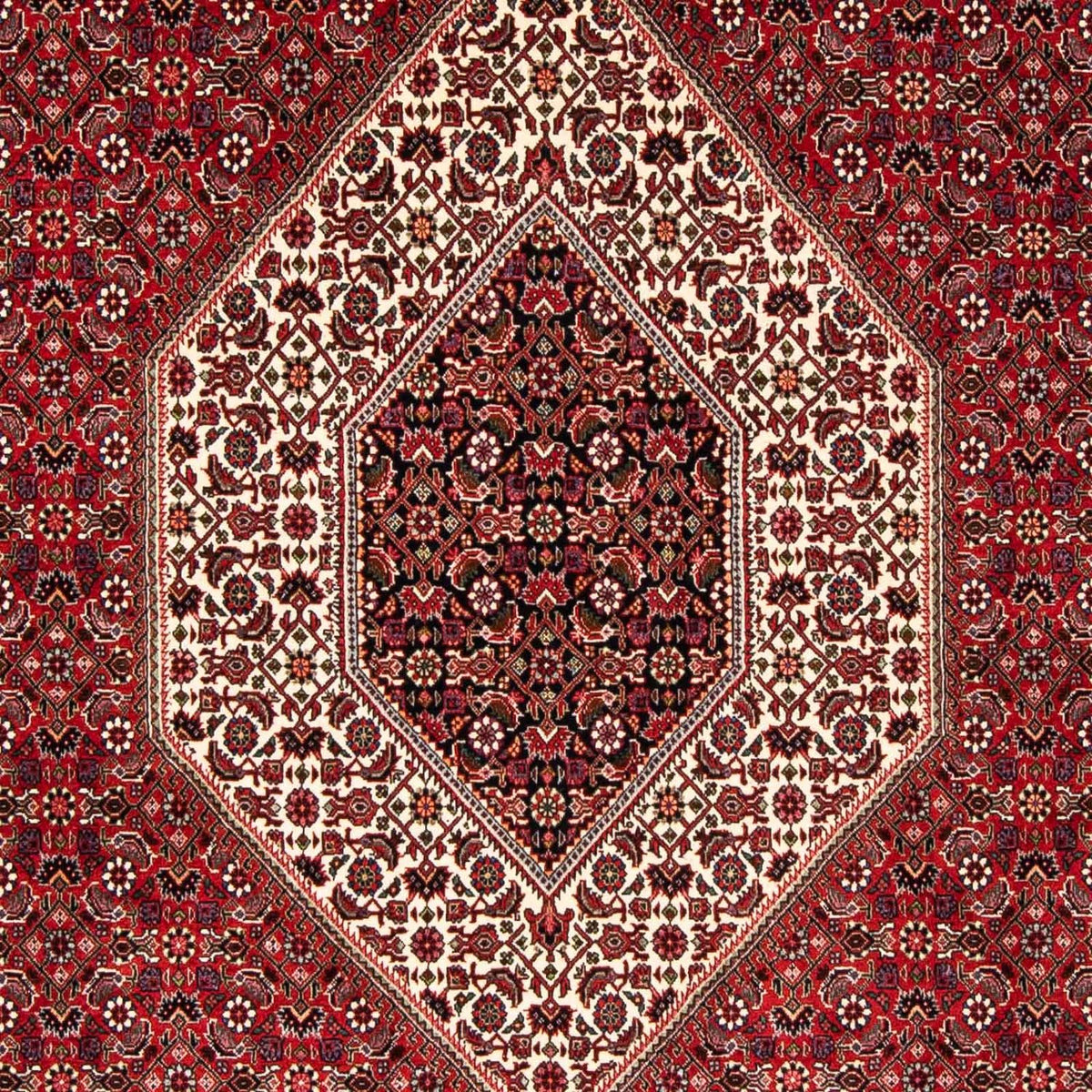 Perser Rug - Bidjar - 246 x 170 cm - dark red
