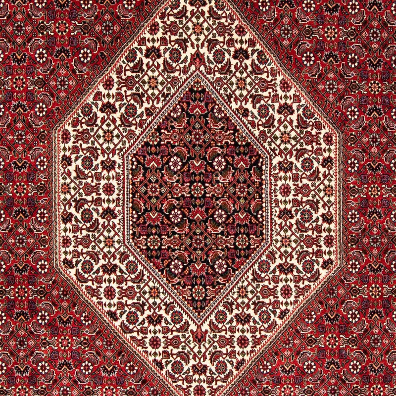 Perser Rug - Bidjar - 246 x 170 cm - dark red