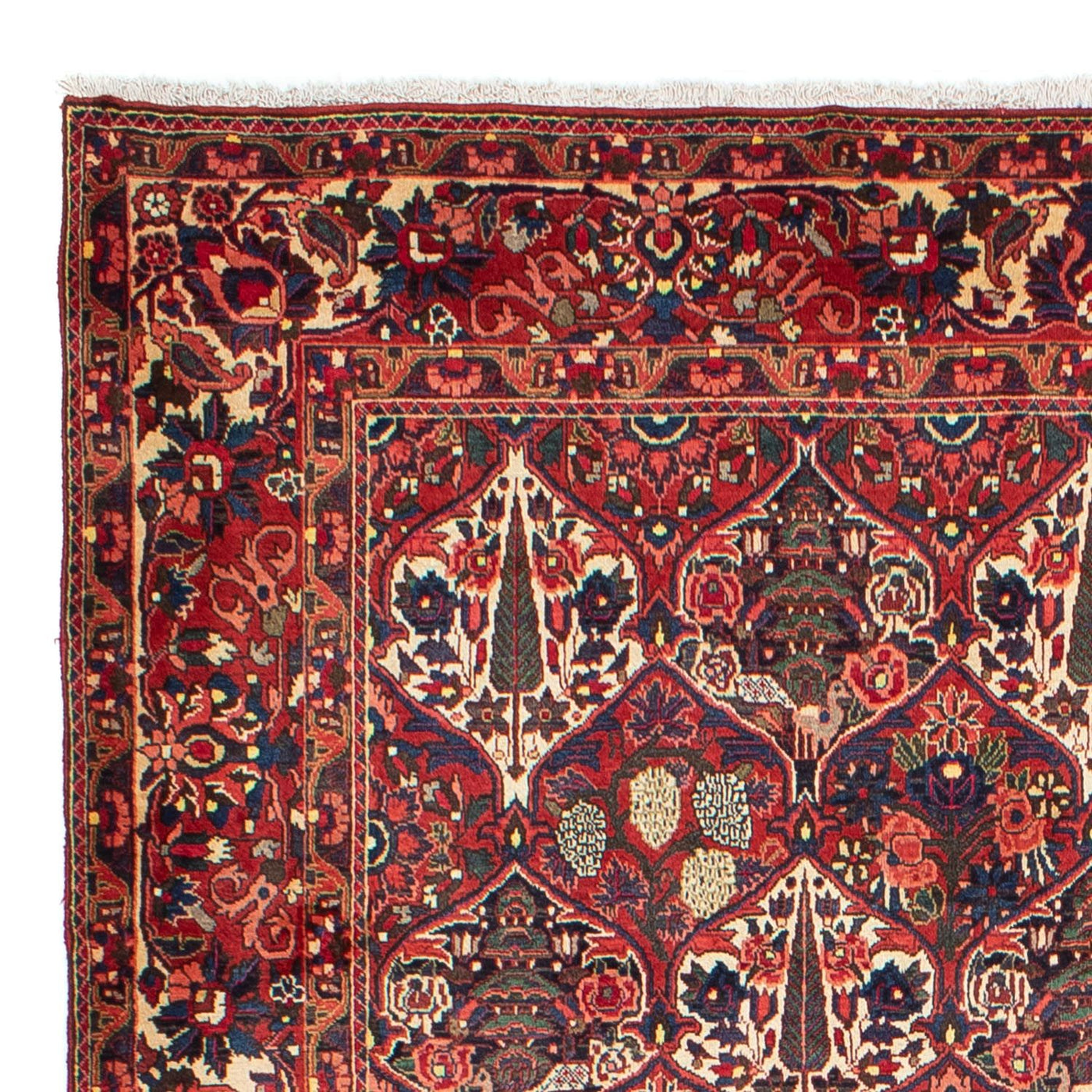 Bakhtiari Rug 323x210cm - Persian Rugs
