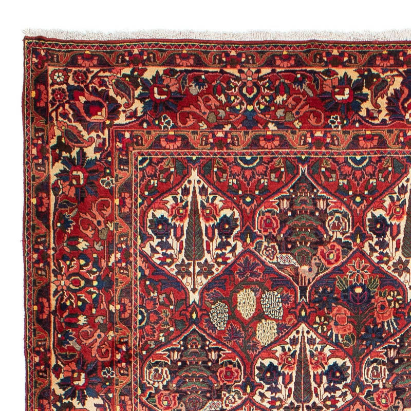 Perser Rug - Nomadic - 323 x 210 cm - dark red