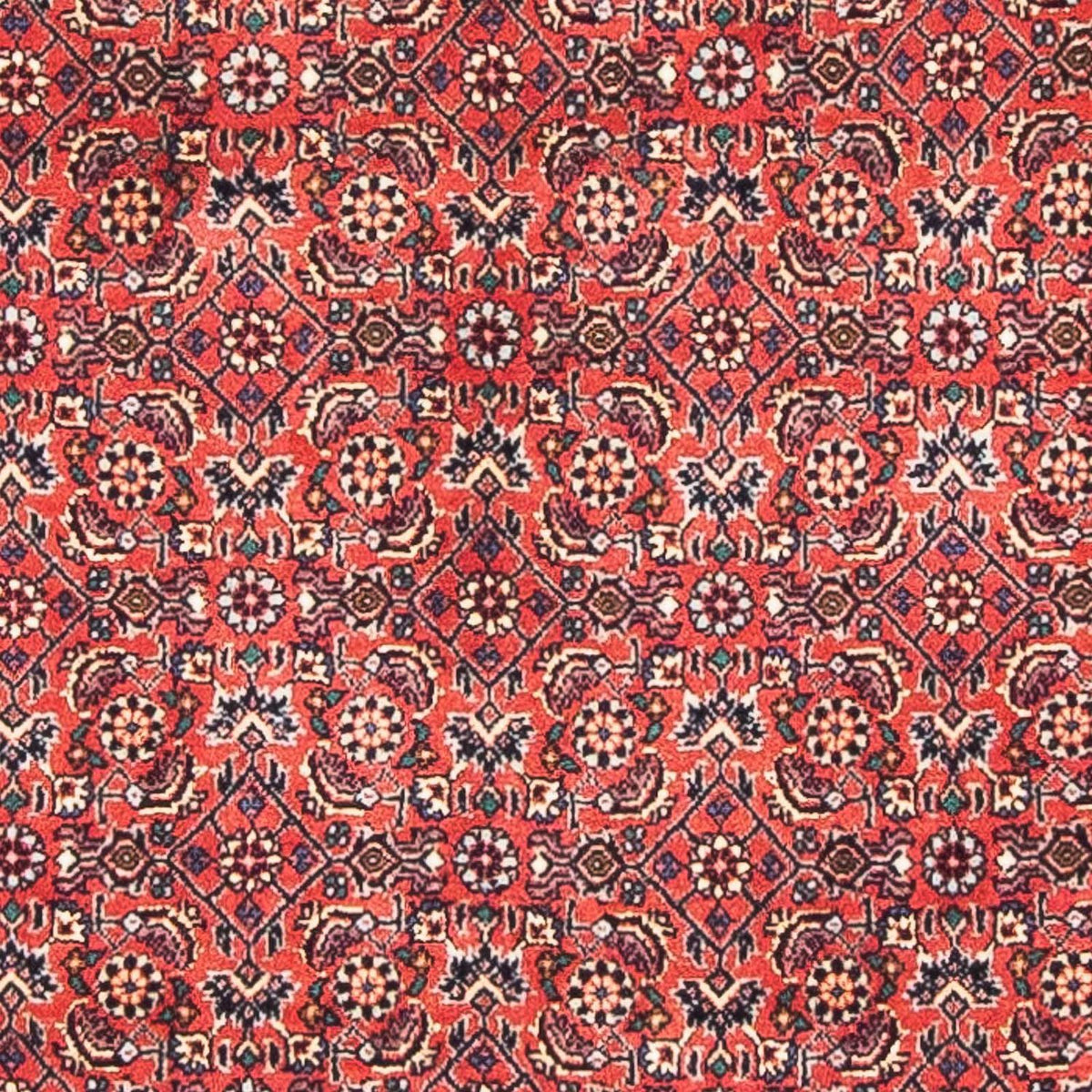 Perser Rug - Bidjar - 138 x 84 cm - red