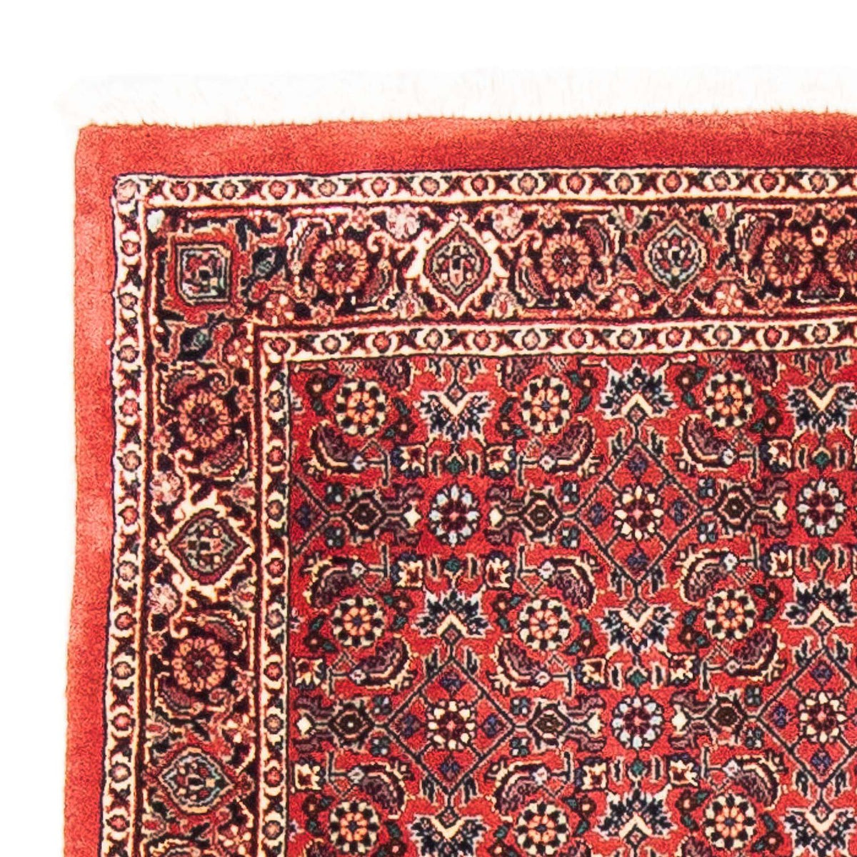 Bidjar Rug 84x138cm - Persian Rugs