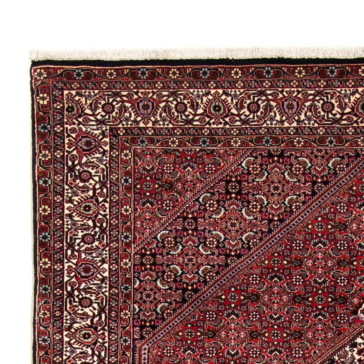 Bidjar Rug 153x255cm - Persian Rugs