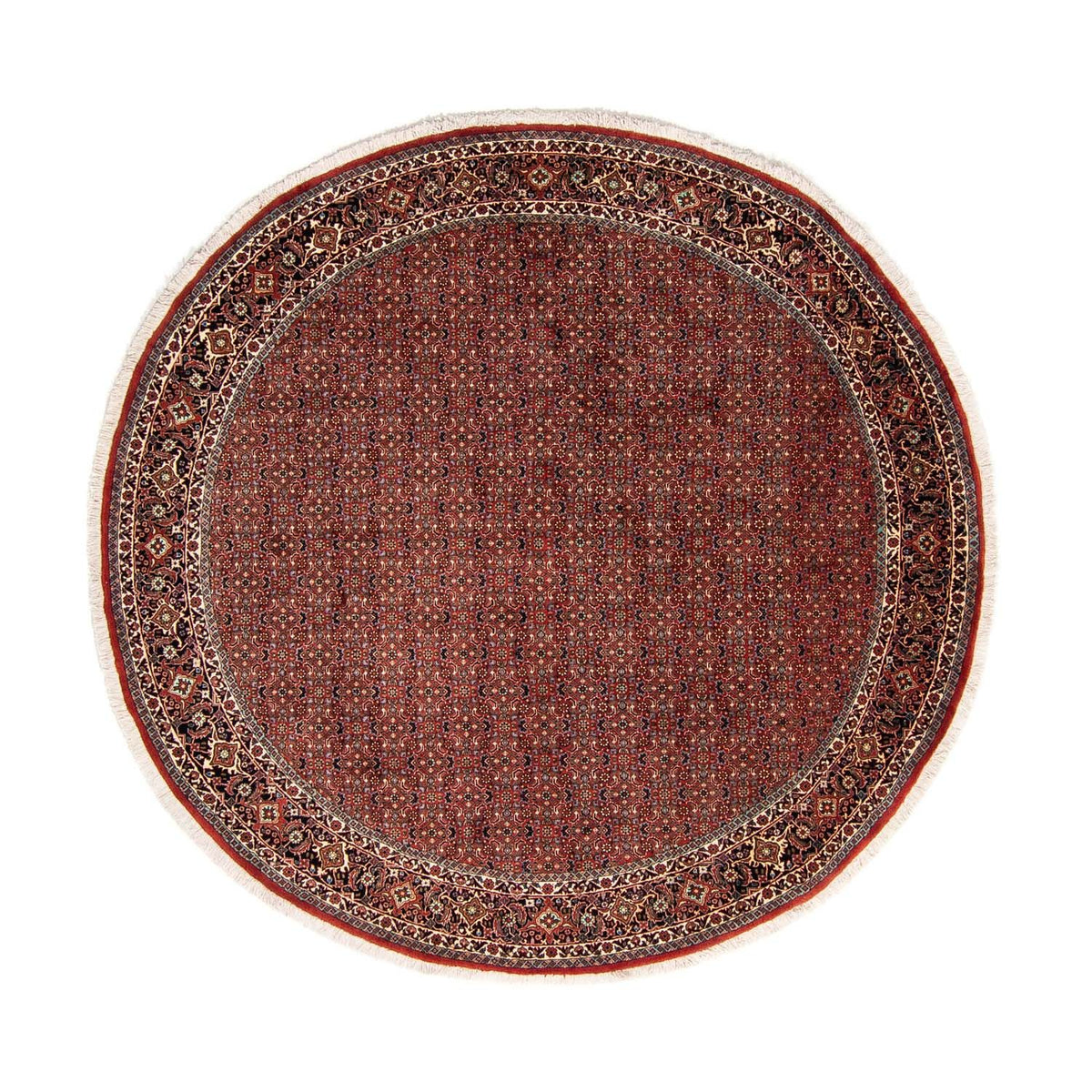 Perser Rug - Bidjar round  - 250 x 250 cm - dark red