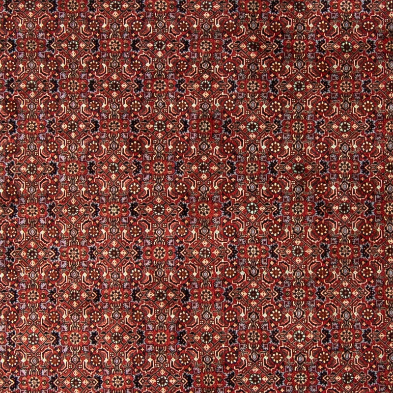 Perser Rug - Bidjar round  - 250 x 250 cm - dark red