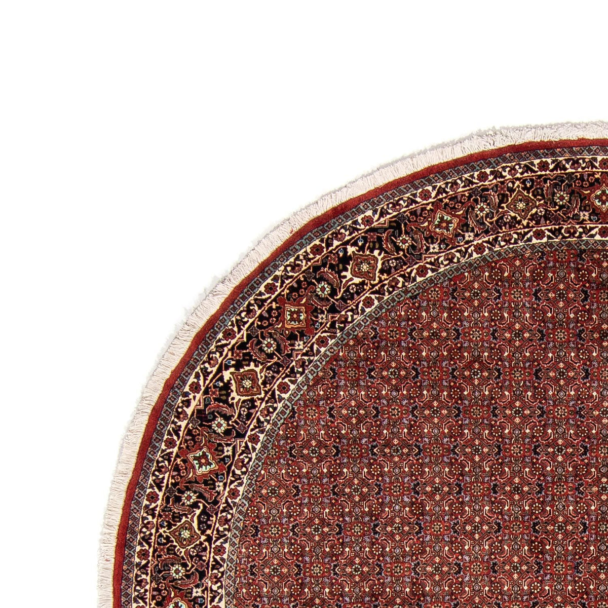 Bidjar Rug 250x250cm - Persian Rugs